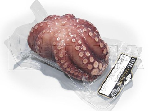 Conditionnement sous vide de poulpe entier en thermoformage