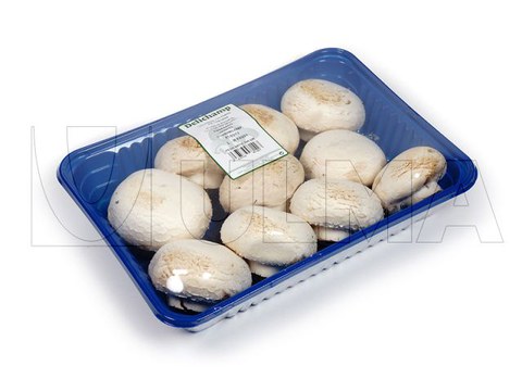 Champignons verpakt met traysealer