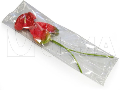 Bloemen (Anthurium) verpakt op flow pack machine (hffs)